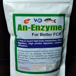 An-Enzyme High Metabolism Fish Feed for better FCR & Nutrient Utilisation Pet Health Supplements-image-49