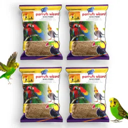 Kangni Seed 3.8 kg (4x0.95 kg) Dry New Born, Adult, Young, Senior Bird Food-picture-15