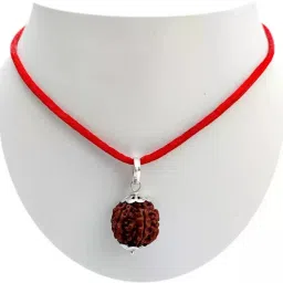 6 Mukhi Rudraksha Original Nepali | Six Face Rudraksha Wood Pendant-image-98