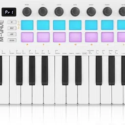 stig 25-Key USB MIDI Keyboard Controller with 16 Backlit Pads, 8 Control Knobs 25-Key USB MIDI Keyboard Controller with 16 Backlit Pads, 8 Control Knobs Analog Portable Keyboard-picture-3