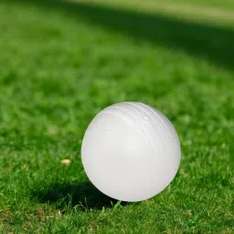 nongi Heavy Plastic Ball White Non Toxic (Pack of 12 | 80gm Per Ball) Cricket Training Ball image 4