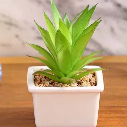 fourwalls Polyurethane Luna Green Succculent In Ceramic Pot Artificial Plant-picture-33