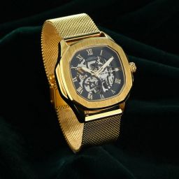 Black Dial Automatics Analog Watch - For Men FCA05-4-image-83