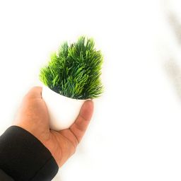 ryme Small Size Set Of 4 With Pot For Home And Office Decor Bonsai Wild Artificial Plantwith Pot image 5