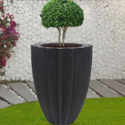nora Big Star Black Polyethylene Floor Planter-picture-37