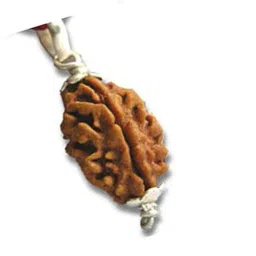 | 2 Mukhi/Faced Rudraksha Silver Coated Pendant, Rameshwaram (India) Originated Rudraksh | 100% Original & Natural Rudrakash | Wood Pendant-image-29