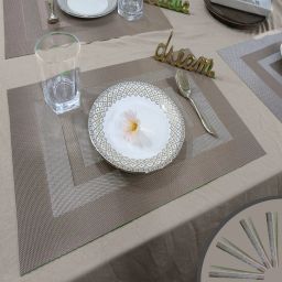 Rectangular Pack of 4 Table Placemat-image-121