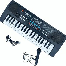 Piano Piano Toy with Microphone, USB Power Cable & Sound Recording Function Analog Portable Keyboard-24