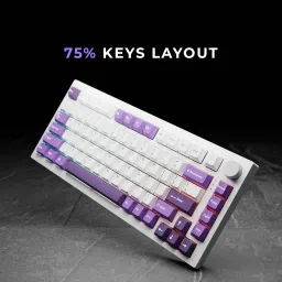 Kreo Swarm Wireless Mechanical Gaming Keyboard, 5-Pin Hot Swap PCB and RGB Backlight Wireless Tenkeyless Gaming Keyboard Compatible with Desktop, Laptop, Mac with gaming mode ,stand support image 3