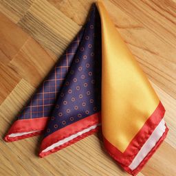 Alvaro Castagnino Men Navy Blue & Yellow Printed Pocket Squares-image-20