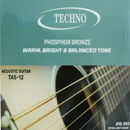 Acoustic TAS-12 Guitar String-picture-22