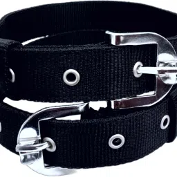 Dog Everyday Collar-image-61