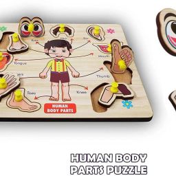 Baby Learning Toys Montessori Wooden Human Body Parts Puzzle With Picture-image-44