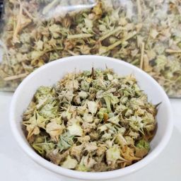 nutrixia food Gokhru Seed image 2