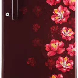 185 L Direct Cool Single Door 1 Star Refrigerator-picture-17