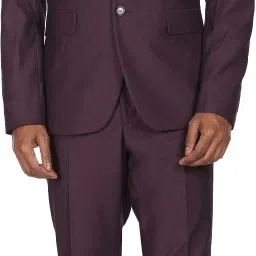 Men Men Dark Purple Tailored Regular Fit Single Breasted Formal Suit Solid Suit-picture-28