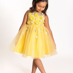 A Little Fable Girls Corsage Detail Fit & Flare Dress-image-49
