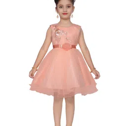 BAESD Girls Embellished Net Fit & Flare Party Dress-11