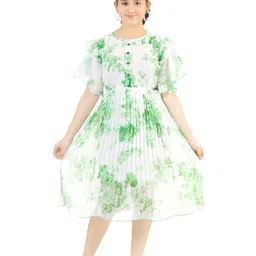 BAESD Girls Floral Print Round Neck Flutter Sleeve Accordion Pleats Fit & Flare Dress-58