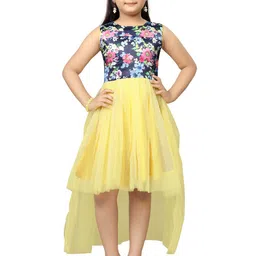BAESD Girls Floral Printed Sleeveless Net Fit & Flare Dress-picture-37