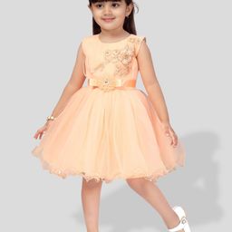 BAESD Girls Embellished Embroidered Detailed Net Fit & Flare Dress-47