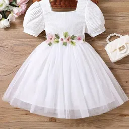 BAESD Girls Embellished Square Neck Short Puff Sleeve Net Fit & Flare Dress-image-87