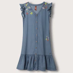 Blue Giraffe Girls Floral Embroidered Drop-Waist Dress-picture-34