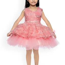 Pink Chick Peach-Coloured Net Dress-15