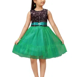 Aarika Girls Green & Black Embellished Colourblocked Net Dress-image-27
