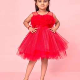 BAESD Girls Net Ruffled Yoke Detailed Tulle Dress-picture-39