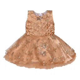 Wish Karo Infant Girls Beige Sequinned Embellished Net Dress-picture-12