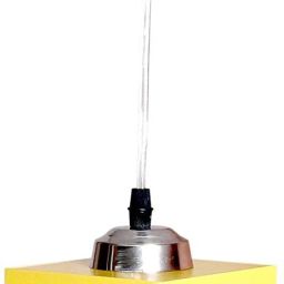 Pendants Ceiling Lamp-image-131