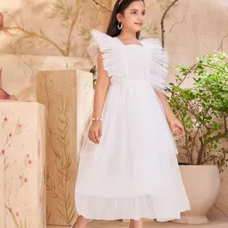 Aarika Flutter Sleeve Net Fit & Flare Midi Dress image 4