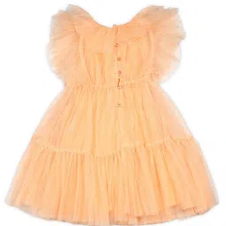 BAESD Embellished Flutter Sleeve Net Fit & Flare Dress image 5