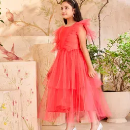 Aarika Net Flutter Sleeve Net Maxi Dress image 2