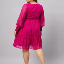 Antheaa Curve Plus Size Self Design Tie-Up Neck A-Line Dress image 5