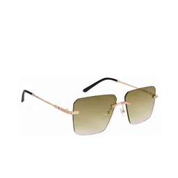 AISLIN Unisex Wayfarer Sunglasses with UV Protected Lens ES_12839-91-AS-9036-BRW-GLD-WF-14