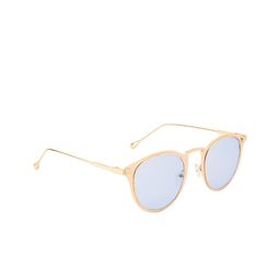 Ted Smith Unisex Blue Lens & Gold-Toned Round Sunglasses with UV Protected Lens-1