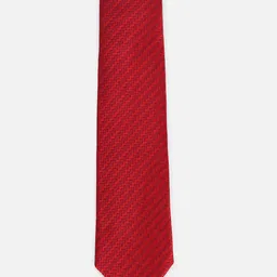 Allen Solly Men Embroidered Formal Tie-image-95