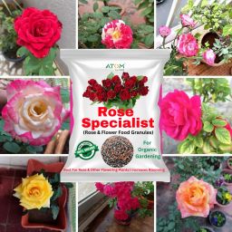Rose Specialist Organic Fertilizer | Increase Blooming of Flowers Fertilizer, Manure, Potting Mixture-image-25