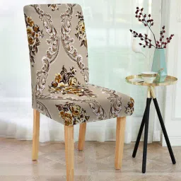 cortina Brown Traditional Polyester 15x19 Inches Stretchable Chair Covers (Set of 6)-picture-17