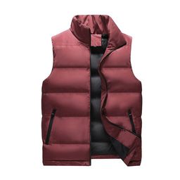 StyleCast x Revolte Mock Collar Gilet Casual Jacket-picture-31