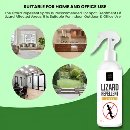 Lizard Repellent Spray For Home, Non-Toxic, Baby-Safe And Eco-Friendly-picture-17