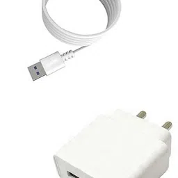 Wall Charger Accessory Combo for Intex Staari 12-13