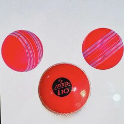 I 10 Cricket Training Ball-image-66