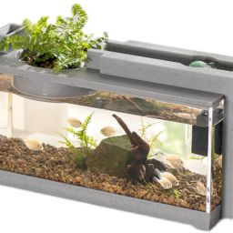 Small USB Powered Betta Fish Tank with LED Light and Pot Rectangle Aquarium Tank-image-59