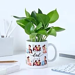 Fathers Day Money Plant Surprise-image-4