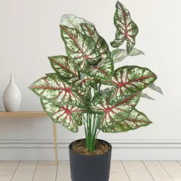 Arick Decor 24 Inch Artificial Tropical Caladium Plants With Black Pot-picture-4