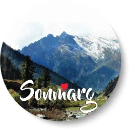 Love Sonmarg I Souvenir l Travel Fridge Magnet Fridge Magnet Pack of 1-image-75