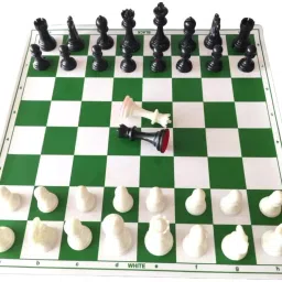 Classic Folding Chess Set 1 cm Chess Board-picture-22
